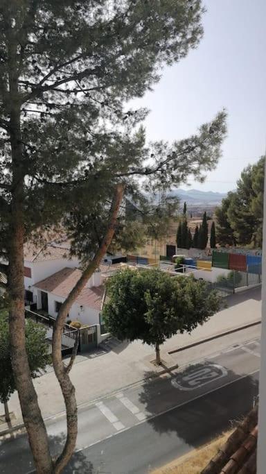 Views, Family & Private Parking In Alto Albayzin Apartment Granada Exterior foto